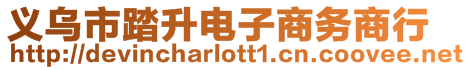 義烏市踏升電子商務商行