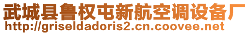 武城縣魯權(quán)屯新航空調(diào)設(shè)備廠