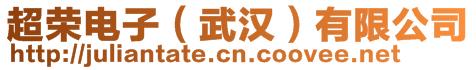 超榮電子(武漢)有限公司