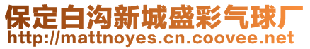 保定白溝新城盛彩氣球廠