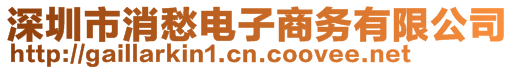 深圳市消愁電子商務(wù)有限公司