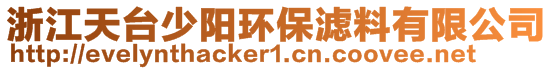 浙江天臺(tái)少陽環(huán)保濾料有限公司