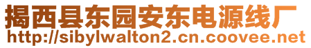 揭西縣東園安東電源線廠