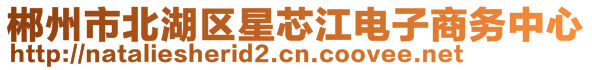 郴州市北湖區(qū)星芯江電子商務(wù)中心