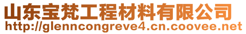 山東寶梵工程材料有限公司