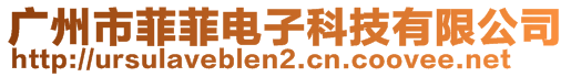 广州市菲菲电子科技有限公司