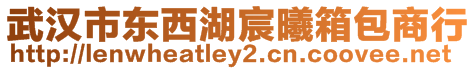 武漢市東西湖宸曦箱包商行