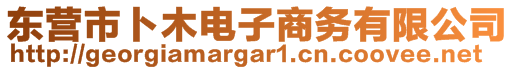 東營市卜木電子商務(wù)有限公司