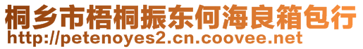 桐鄉(xiāng)市梧桐振東何海良箱包行