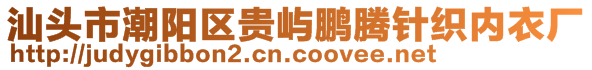 汕头市潮阳区贵屿鹏腾针织内衣厂