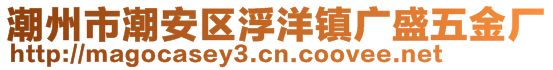 潮州市潮安區(qū)浮洋鎮(zhèn)廣盛五金廠