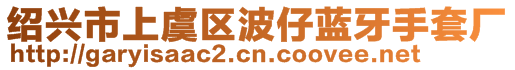 紹興市上虞區(qū)波仔藍(lán)牙手套廠