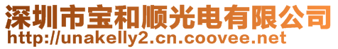 深圳市宝和顺光电有限公司