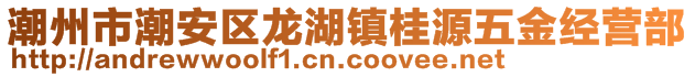潮州市潮安區龍湖鎮桂源五金經營部