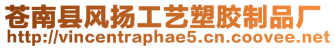 蒼南縣風(fēng)揚(yáng)工藝塑膠制品廠