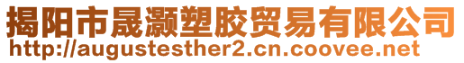 揭陽市晟灝塑膠貿易有限公司