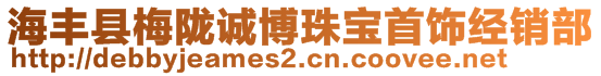 海丰县梅陇诚博珠宝首饰经销部