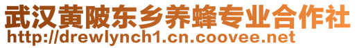 武漢黃陂東鄉(xiāng)養(yǎng)蜂專業(yè)合作社