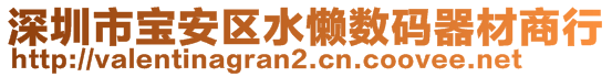 深圳市寶安區水懶數碼器材商行