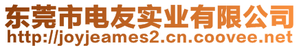 東莞市電友實業(yè)有限公司