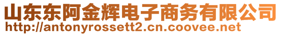 山東東阿金輝電子商務有限公司
