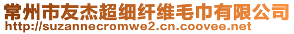 常州市友杰超細(xì)纖維毛巾有限公司