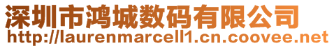 深圳市鴻城數碼有限公司