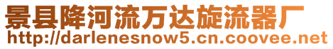 景縣降河流萬達(dá)旋流器廠