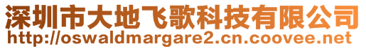 深圳市大地飛歌科技有限公司