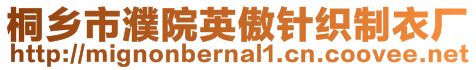 桐鄉(xiāng)市濮院英傲針織制衣廠