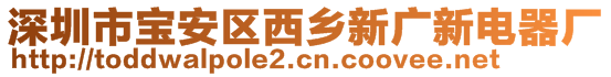 深圳市寶安區(qū)西鄉(xiāng)新廣新電器廠