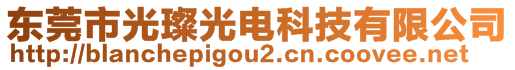 東莞市光璨光電科技有限公司