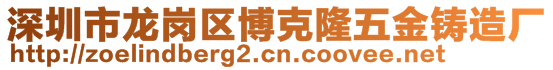 深圳市龍崗區(qū)博克隆五金鑄造廠