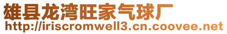 雄縣龍灣旺家氣球廠