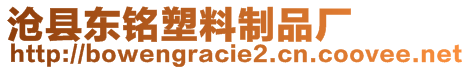 滄縣東銘塑料制品廠