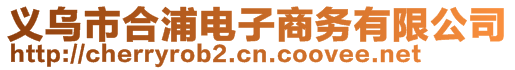 義烏市合浦電子商務有限公司