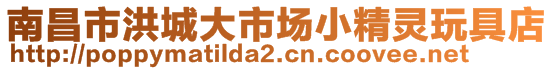 南昌市洪城大市场小精灵玩具店