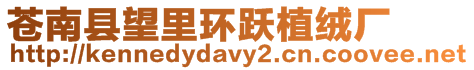 蒼南縣望里環躍植絨廠