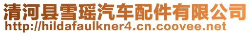 清河縣雪瑤汽車配件有限公司