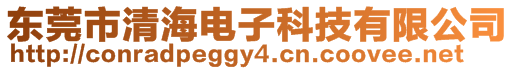 東莞市清海電子科技有限公司