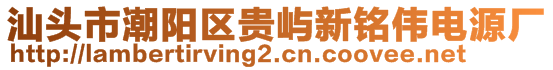 汕頭市潮陽區(qū)貴嶼新銘偉電源廠