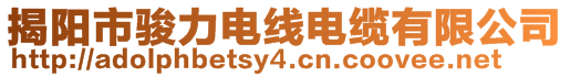 揭陽(yáng)市駿力電線電纜有限公司