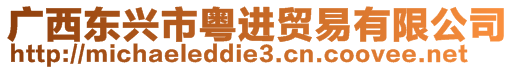 廣西東興市粵進貿易有限公司
