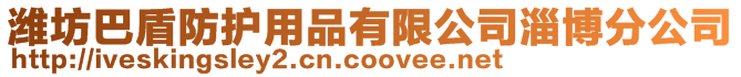 濰坊巴盾防護用品有限公司淄博分公司