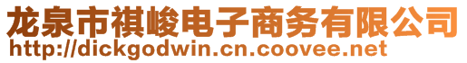 龍泉市祺峻電子商務有限公司