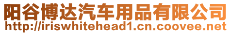 陽谷博達汽車用品有限公司