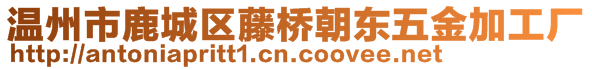 温州市鹿城区藤桥朝东五金加工厂