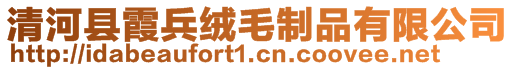 清河縣霞兵絨毛制品有限公司