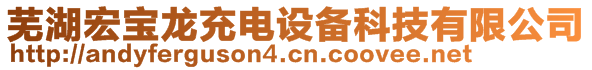 蕪湖宏寶龍充電設(shè)備科技有限公司