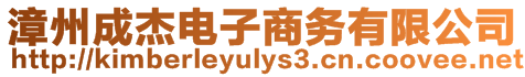 漳州成杰電子商務有限公司